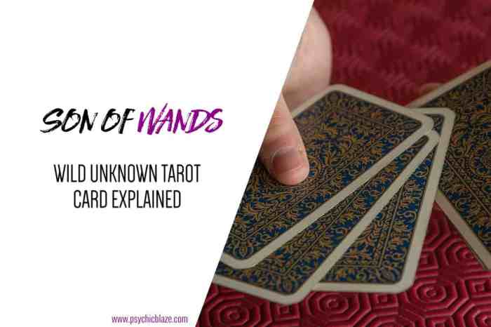 Six of wands wild unknown