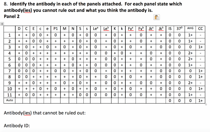 Antibody panel rule blood bank panels cannot identify solved