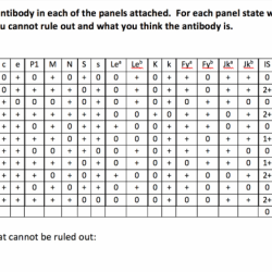 Antibody panel practice with answers