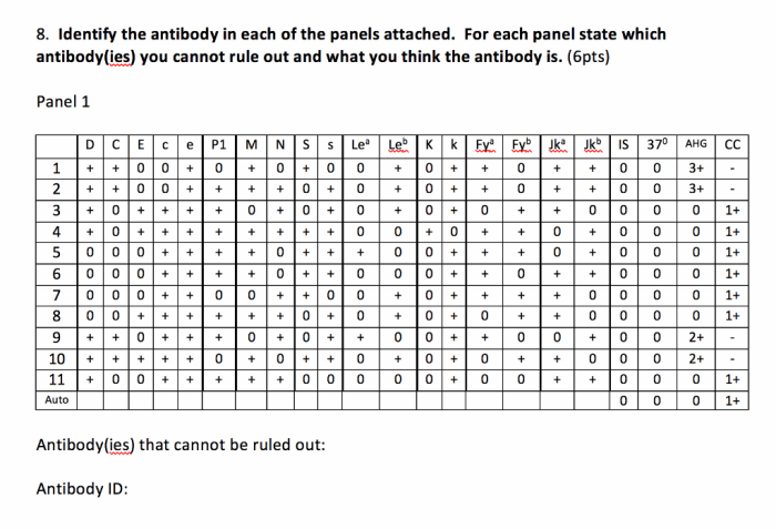 Panel antibody blood bank based identify ahg solved results