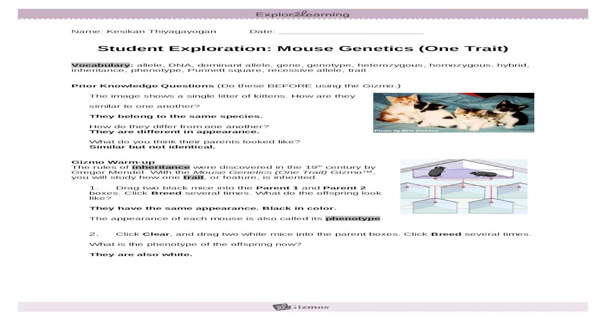 Student exploration mouse genetics two traits