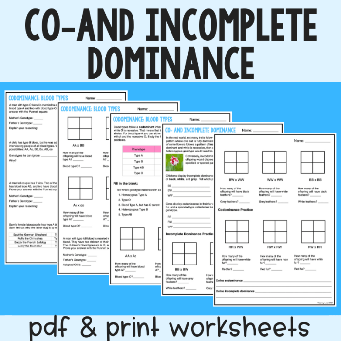 Practice codominance and incomplete dominance answer key