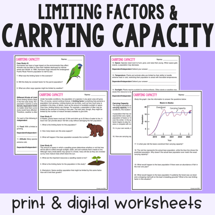 Limiting factors and carrying capacity worksheet answer key