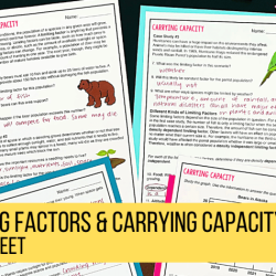 Limiting factors and carrying capacity worksheet answer key