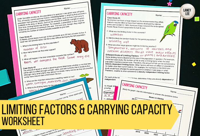 Limiting factors and carrying capacity worksheet answer key